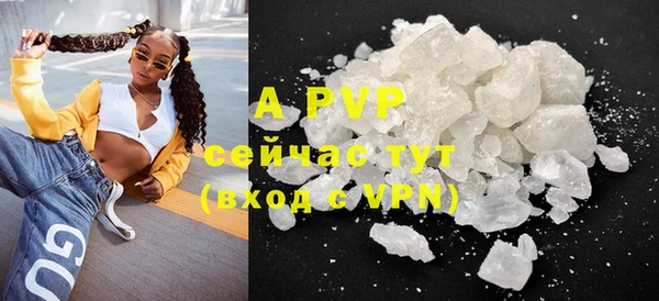 круглые Белокуриха