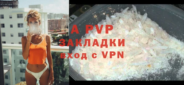 крисы Белоозёрский